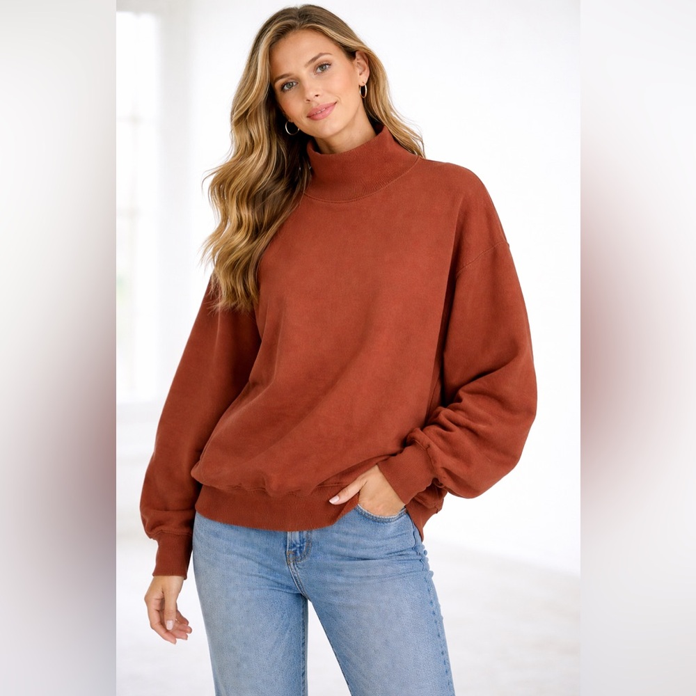 Wilfred Turtleneck rust oversized cozy sweatshirt in medium